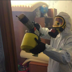 Уничтожение клопов в квартире. Игарка